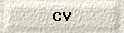  CV 